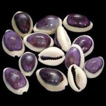 +27642646711 POWERFUL BLACK MAGIC INSTANT DEATH SPELL CASTER IN AMERICA